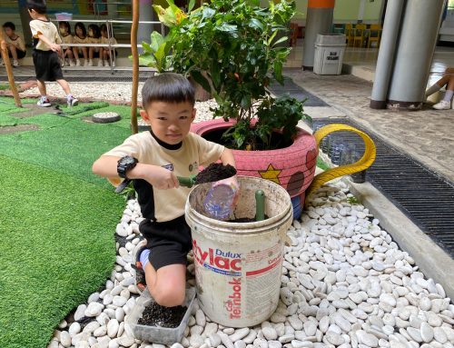 Minggu Pertama P5: Berkeliling  ke Sekitar Sekolah dan Menanam Biji Matahari